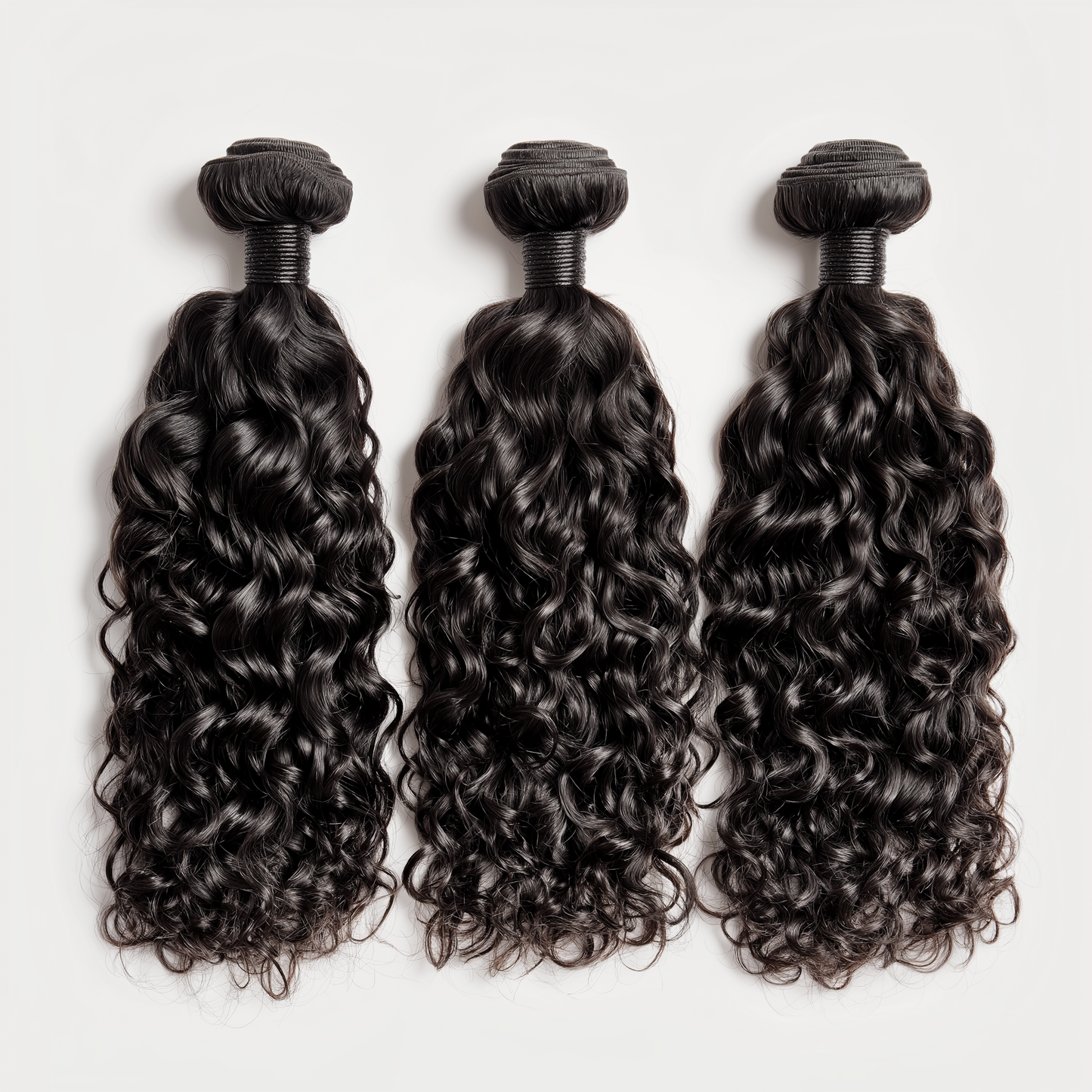 VIRGIN Burmese Curly